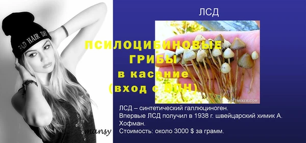 mix Пестово