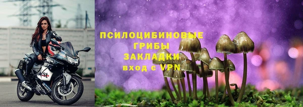 Альфа ПВП Абаза