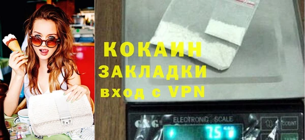 стаф Абинск