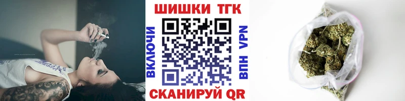 Бошки Шишки план  Лодейное Поле 